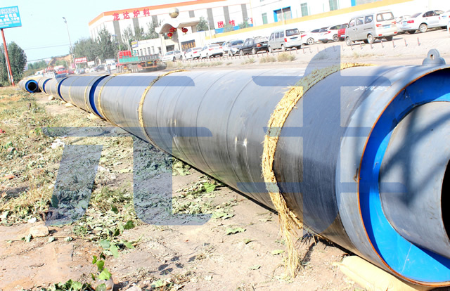 黄瓜视频在线观看